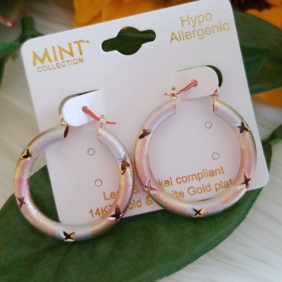 Mint Collection 14K Gold & White Gold Plated Hoop - Picture 2 of 2